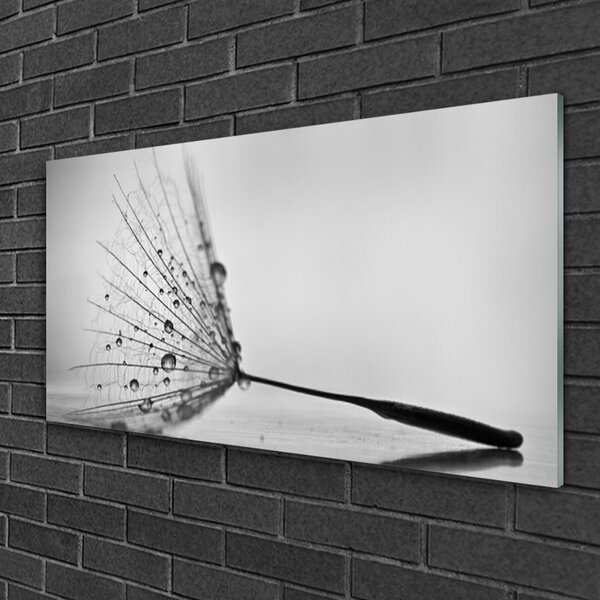 Quadro su vetro Semi di soffiaggio 100x50 cm 2 appendini