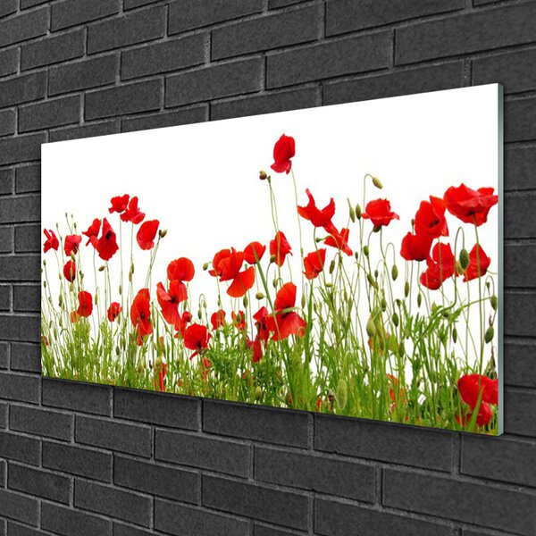 Quadro in vetro Papaveri dei prati Fiori della natura 100x50 cm 2 appendini