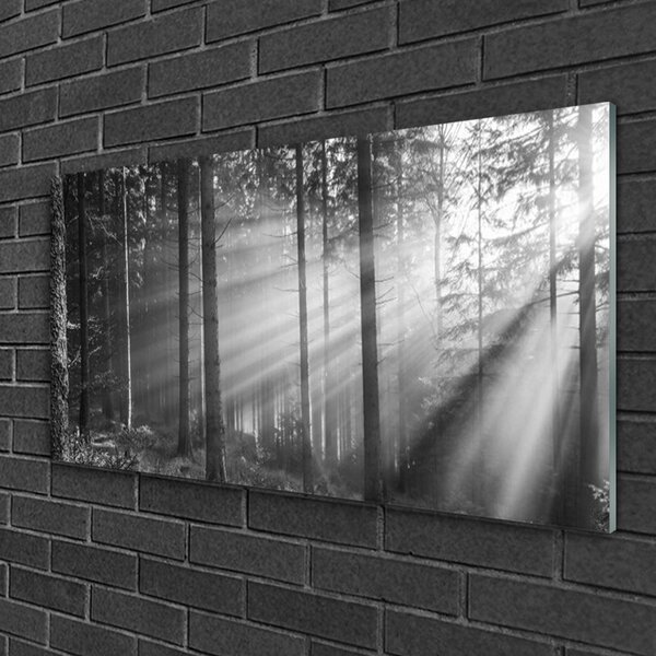 Quadro in vetro Foresta Natura Sole 100x50 cm 2 appendini
