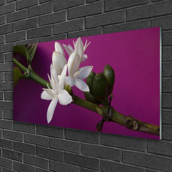 Quadro in vetro Fiori Steli Natura Pianta 100x50 cm 2 appendini