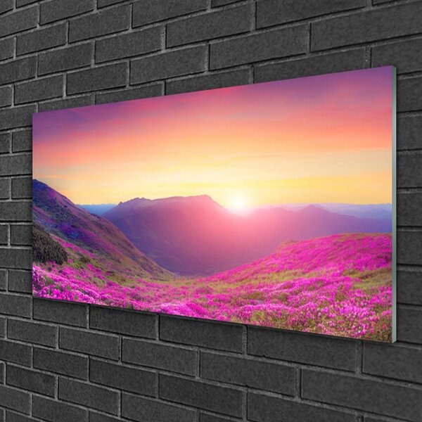 Quadro vetro Prato della Montagna del Sole Natura 100x50 cm 2 appendini