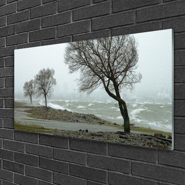 Quadro in vetro Onde del mare in tempesta 100x50 cm 2 appendini