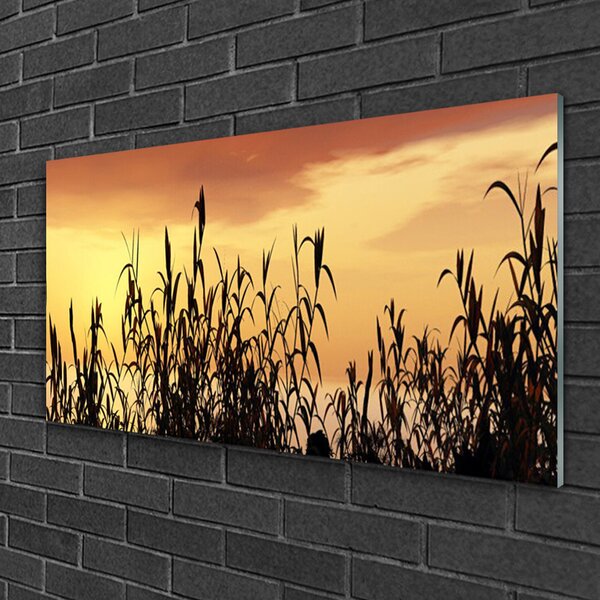 Quadro in vetro Lascia il campo di Prato Ovest 100x50 cm 2 appendini