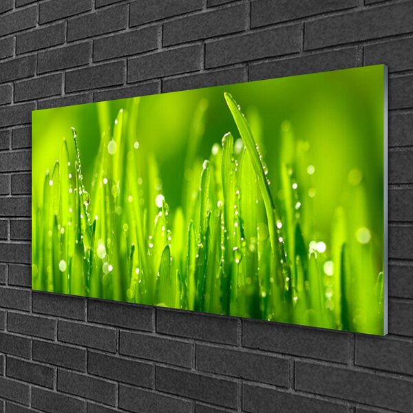 Quadro di vetro Gocce di rosa di erba verde 100x50 cm 2 appendini