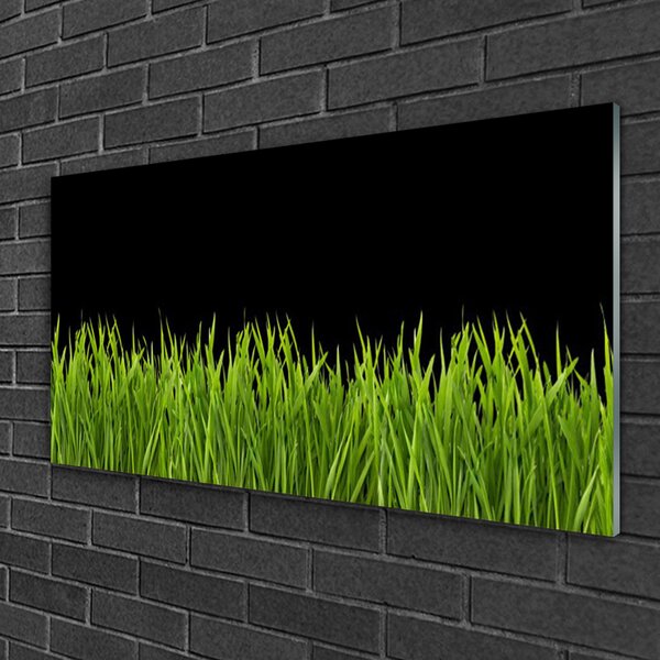 Quadro in vetro Erba verde Natura 100x50 cm 2 appendini
