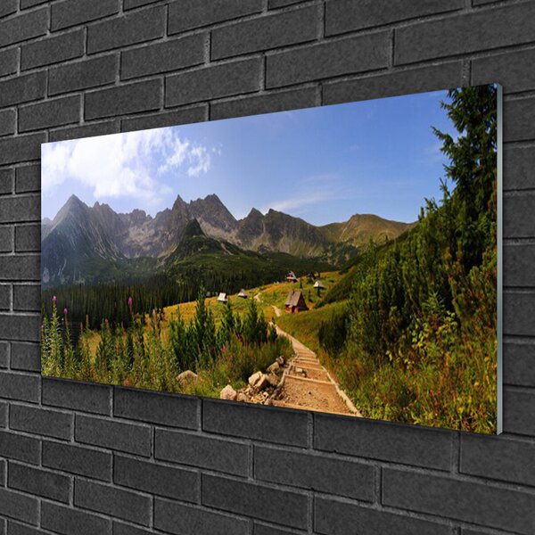 Quadro su vetro Strada Hala Góry Prato naturale 100x50 cm 2 appendini