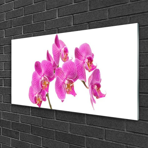 Quadro su vetro Orchidea Fiori della natura 100x50 cm 2 appendini