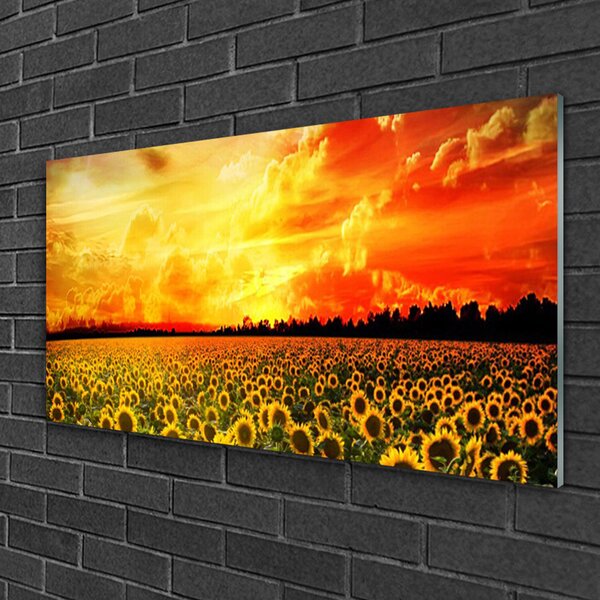 Quadro vetro Girasoli dei prati 100x50 cm 2 appendini