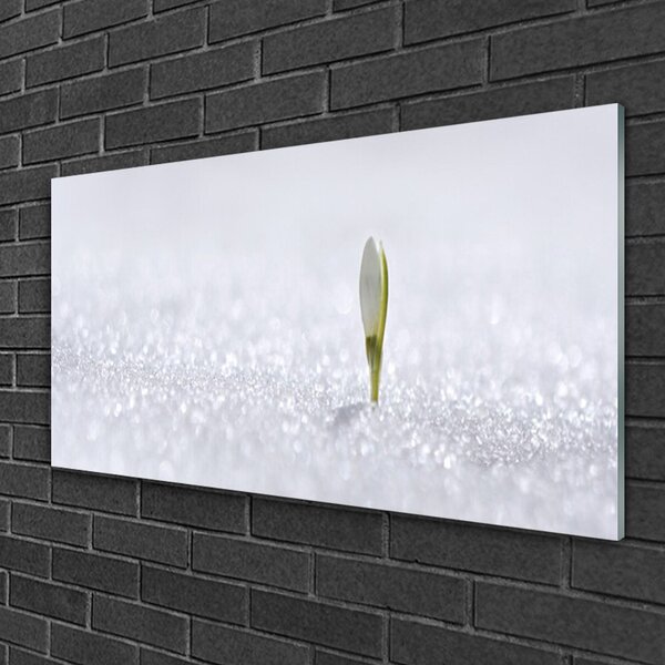 Quadro in vetro Bucaneve d'inverno 100x50 cm 2 appendini