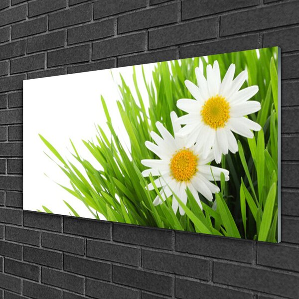 Quadro in vetro Margherita Fiore Natura 100x50 cm 2 appendini