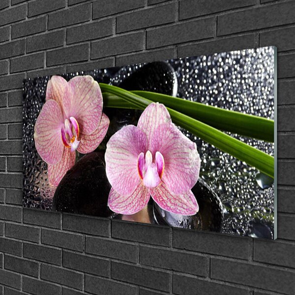 Quadro in vetro Fiori Orchidea Orchidea Zen 100x50 cm 2 appendini