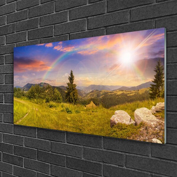 Quadro vetro Montagne Prato Natura Cielo 100x50 cm 2 appendini