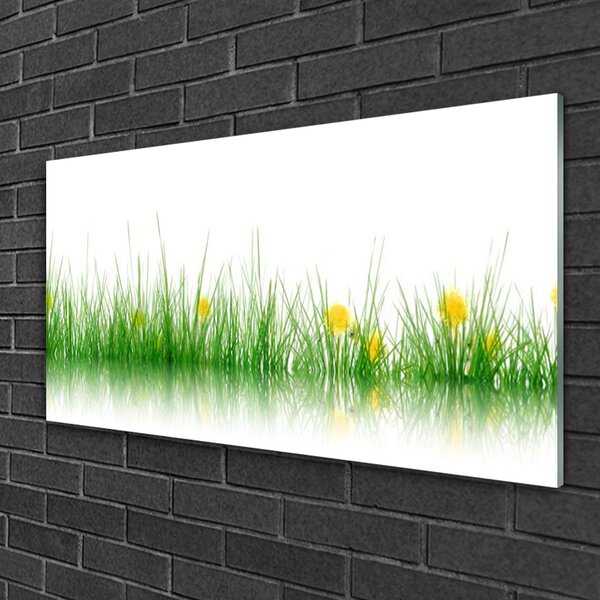 Quadro su vetro Natura Erba Fiori 100x50 cm 2 appendini