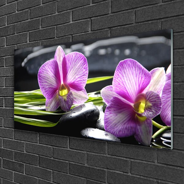 Quadro vetro Orchid Stones Zen Spa 100x50 cm 2 appendini