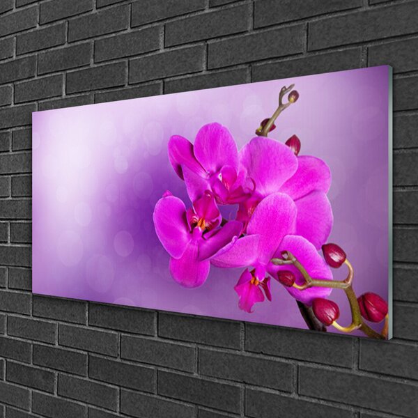 Quadro su vetro Fiori Petali Orchidea 100x50 cm 2 appendini