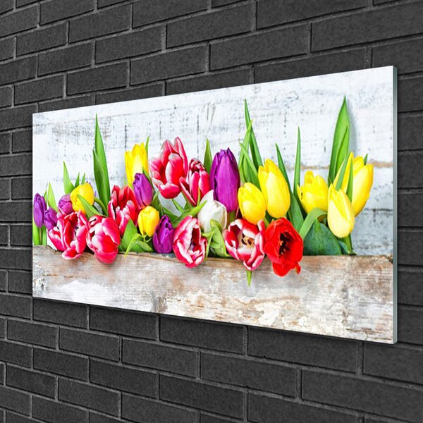 Quadro su vetro Tulipani Fiori della natura 100x50 cm 2 appendini
