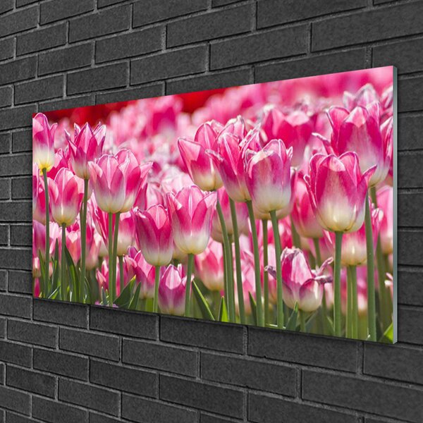 Quadro in vetro Tulipani Fiori della natura 100x50 cm 2 appendini