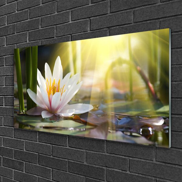 Quadro di vetro Ninfea Sole Stagno 100x50 cm 2 appendini