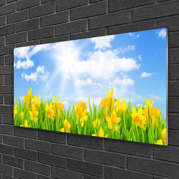 Quadro di vetro Narcisi Prato Erba Natura 100x50 cm 2 appendini