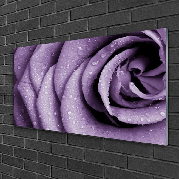 Quadro di vetro Pianta di fiori di rosa 100x50 cm 2 appendini