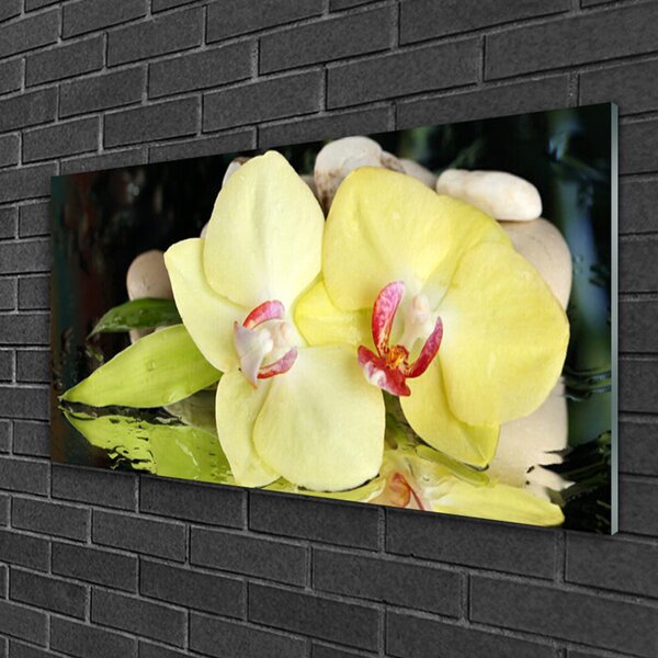 Quadro in vetro Petali di fiori di orchidea 100x50 cm 2 appendini