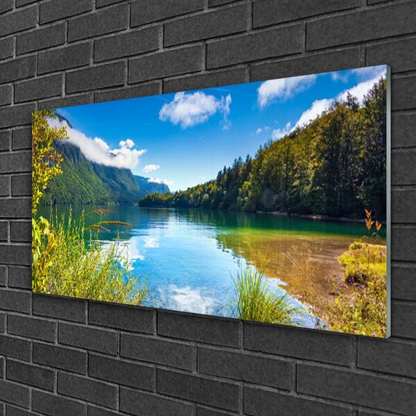 Quadro su vetro Montagne Foresta Natura Lago 100x50 cm 2 appendini