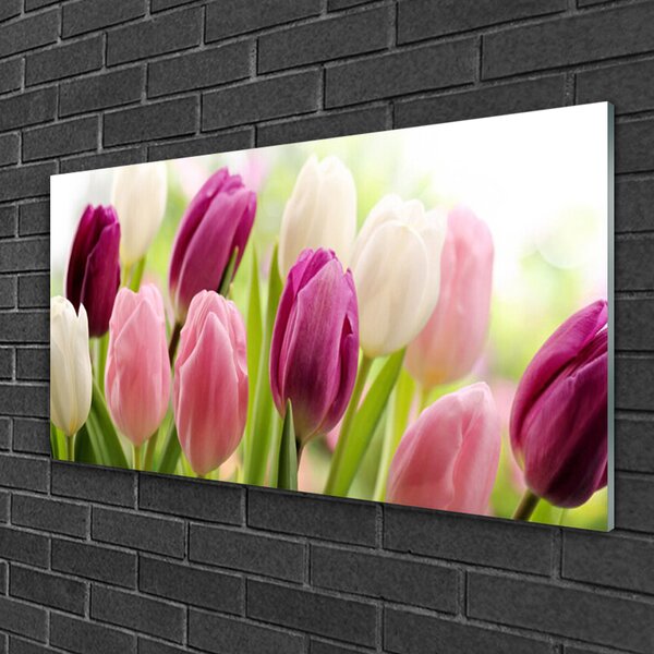 Quadro in vetro Tulipani Fiori Natura Prato 100x50 cm 2 appendini