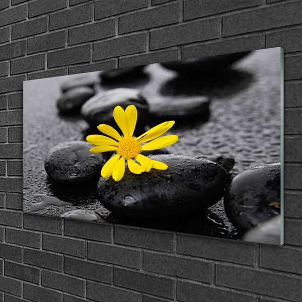 Quadro di vetro Fiore giallo Spa Natura 100x50 cm 2 appendini