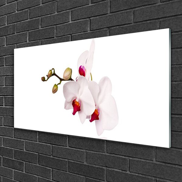 Quadro in vetro Fiori Natura Orchidea 100x50 cm 2 appendini