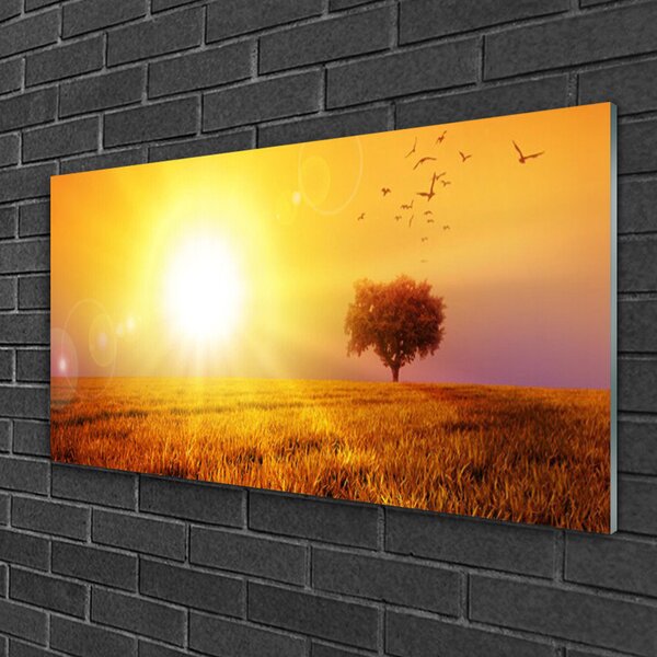 Quadro su vetro Uccelli del prato al tramonto 100x50 cm 2 appendini
