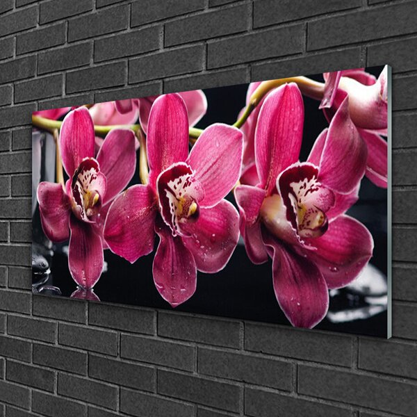 Quadro su vetro Fiori Steli di orchidea Natura 100x50 cm 2 appendini