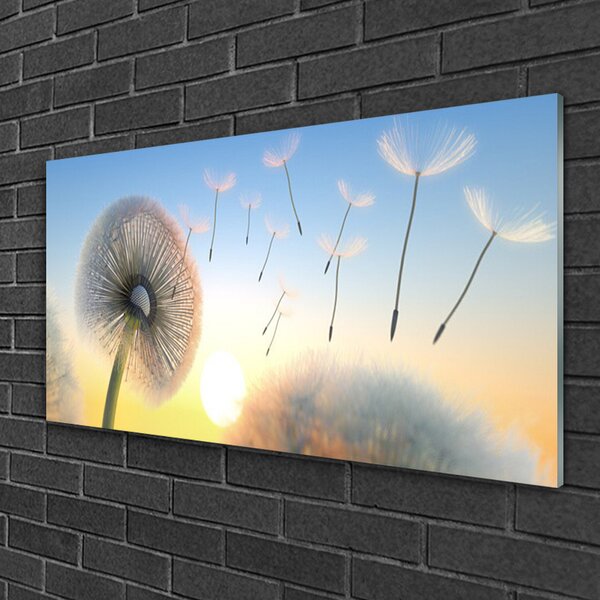 Quadro in vetro Pianta di fiori di soffio 100x50 cm 2 appendini