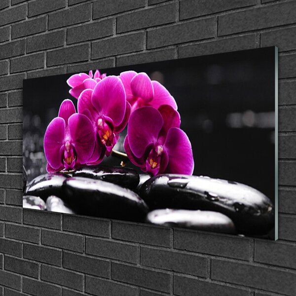 Quadro vetro Orchidea Spa Pietre Zen 100x50 cm 2 appendini