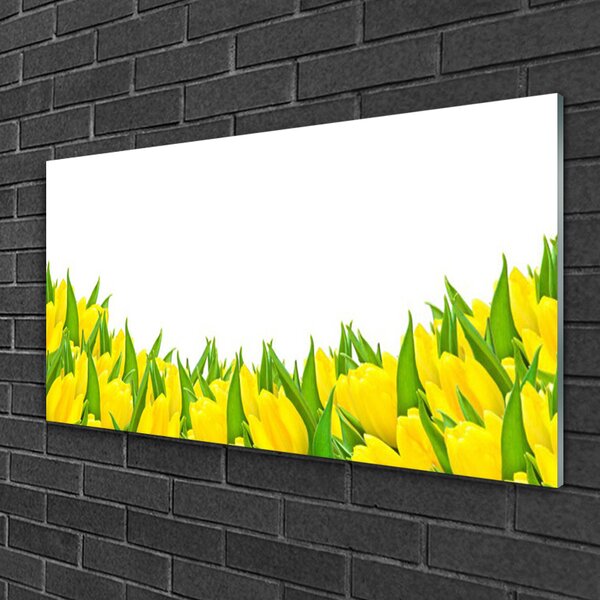 Quadro in vetro Natura fiori Tulipani 100x50 cm 2 appendini