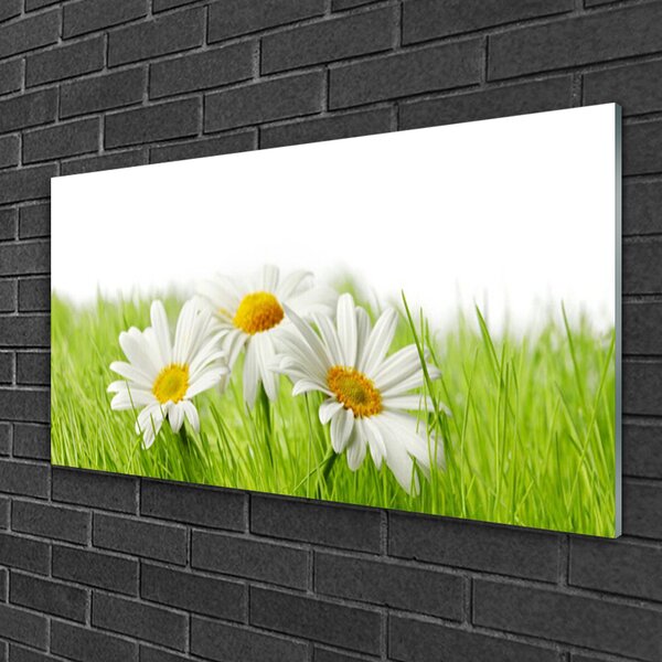 Quadro in vetro Pianta di fiori di margherita 100x50 cm 2 appendini