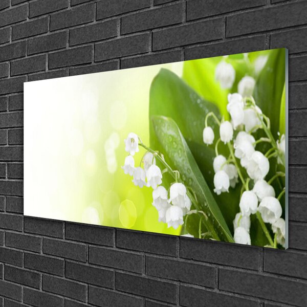 Quadro in vetro Mughetto Fiori di foglie Prato 100x50 cm 2 appendini