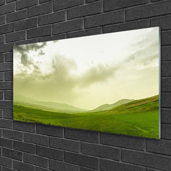 Quadro vetro Natura Prato Vista verde 100x50 cm 2 appendini