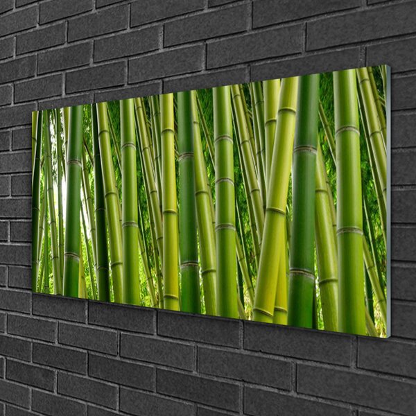 Quadro di vetro Foresta di bambù Germogli di bambù 100x50 cm 2 appendini