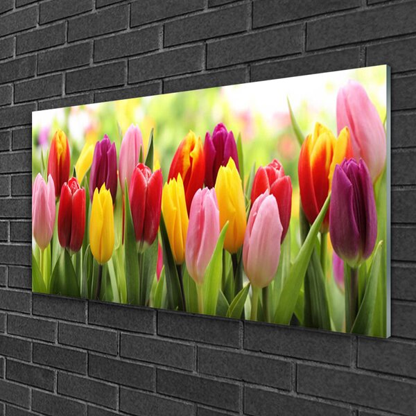 Quadro vetro Tulipani Fiori della natura 100x50 cm 2 appendini