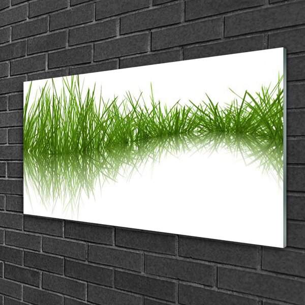 Quadro su vetro Erba Natura Pianta 100x50 cm 2 appendini