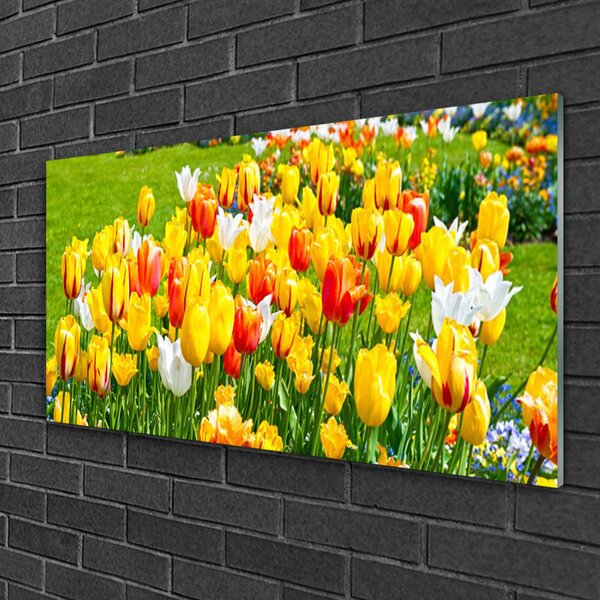 Quadro in vetro Tulipani Fiori della natura 100x50 cm 2 appendini