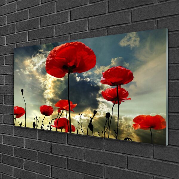 Quadro in vetro Papaveri Pianta Naturale 100x50 cm 2 appendini