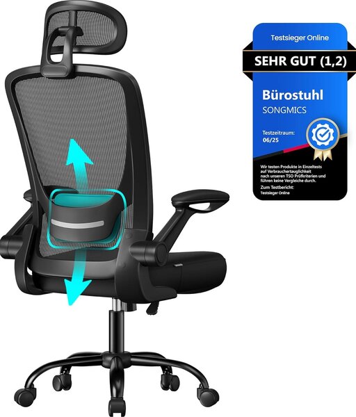Sedia Da Ufficio Ergonomica Girevole Con Supporto Lombare In Rete Funzione Dondolo Seduta Da 53 Cm Pavimento Pieghevole