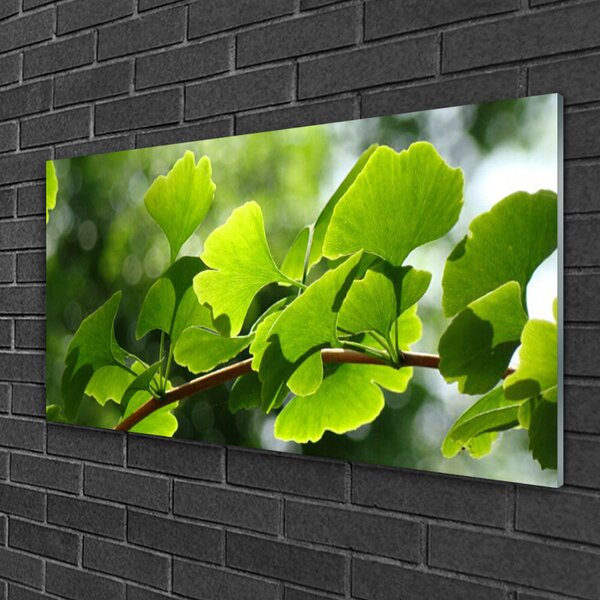 Quadro di vetro Rami Foglie Natura Albero 100x50 cm 2 appendini