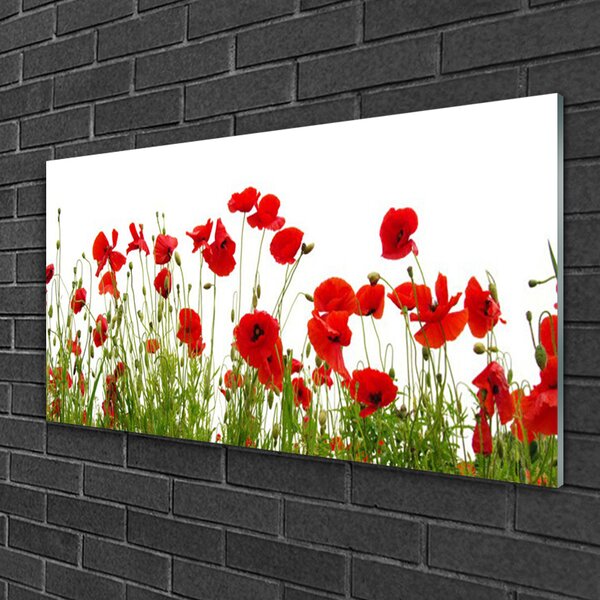 Quadro di vetro Papaveri Pianta Naturale 100x50 cm 2 appendini