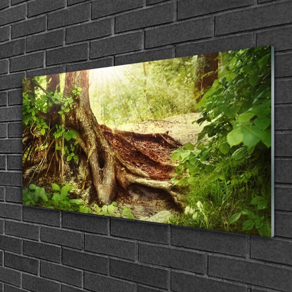 Quadro di vetro Tronco d'albero Foresta naturale 100x50 cm 2 appendini