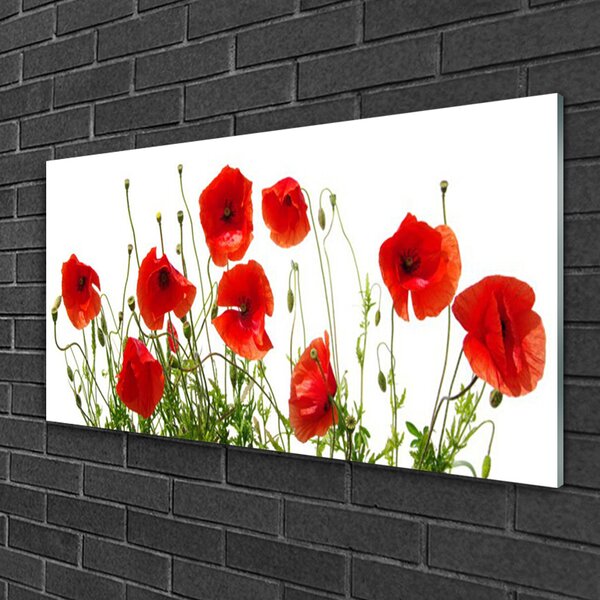Quadro in vetro Papaveri Pianta Naturale 100x50 cm 2 appendini