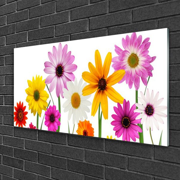 Quadro di vetro Fiori colorati della natura 100x50 cm 2 appendini