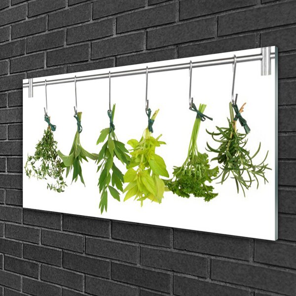 Quadro su vetro Le erbe di Nature's Leaves 100x50 cm 2 appendini