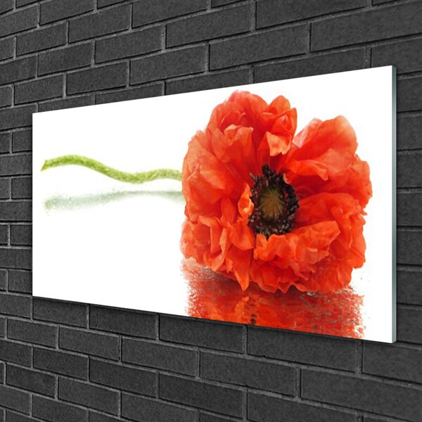 Quadro in vetro Fiori Natura Natura 100x50 cm 2 appendini